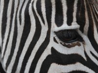 Marion, Romane South Africa 2014 (80 of 80) : Bundu lodge, Marion visit